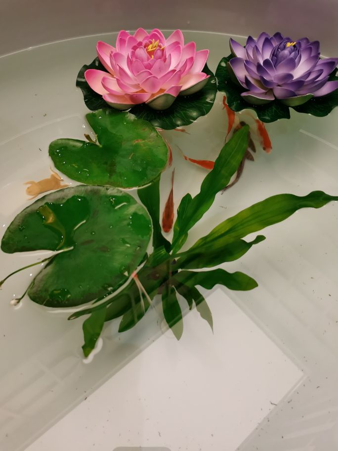 大宝推荐产品,大宝推荐