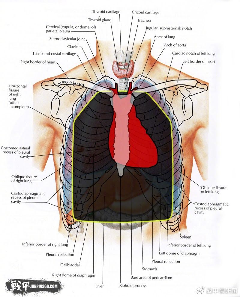 「战甲讲堂·防弹系列7」如何正确穿戴/使用护甲