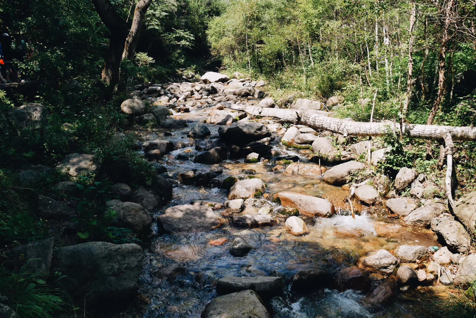 #开往春天#离别时的你和一座城