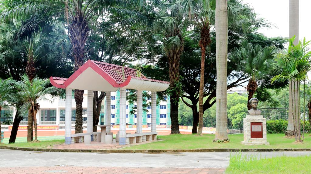 深圳市翠园中学高考喜报,翠园高中录取线