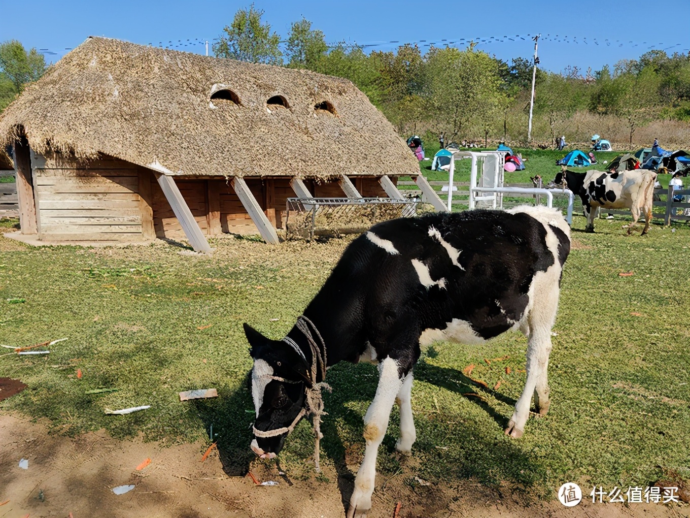 五一大连三寰牧场,大连三寰牧场旅游攻略