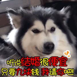 涂磊老师卖过的东西,涂磊99元红酒