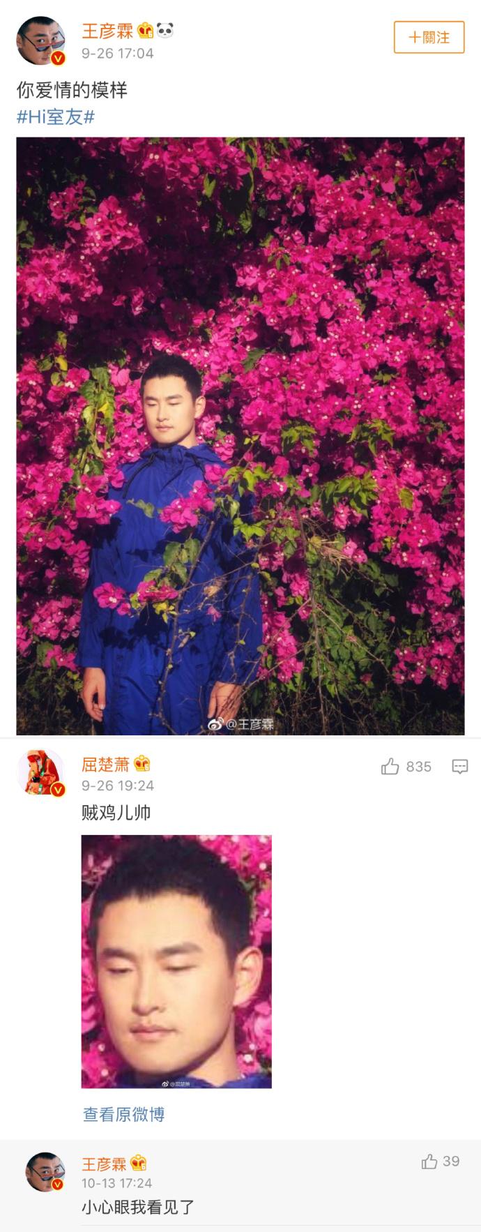 屈楚萧和吴秀波,屈楚萧和金瀚