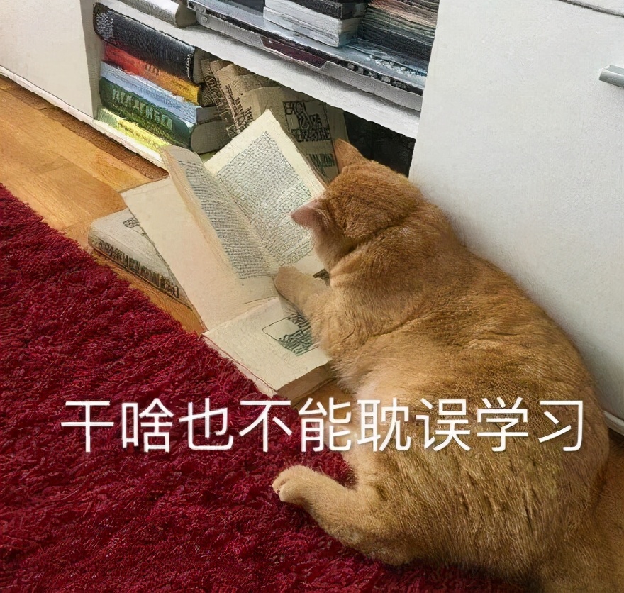 经验帖语文文学常识,经验贴用英文怎么说