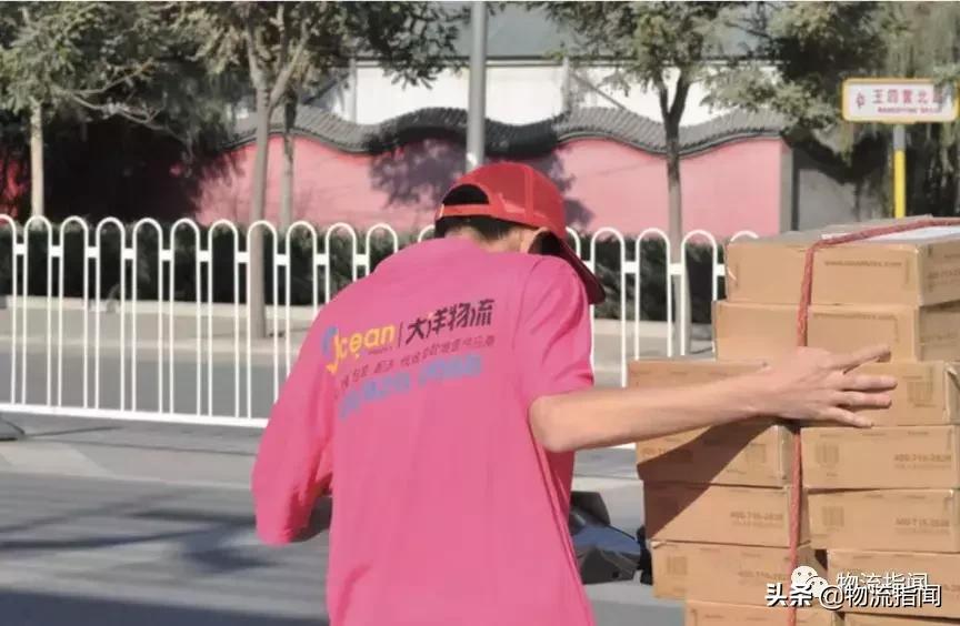 丹鸟复盘最新消息,丹鸟复盘