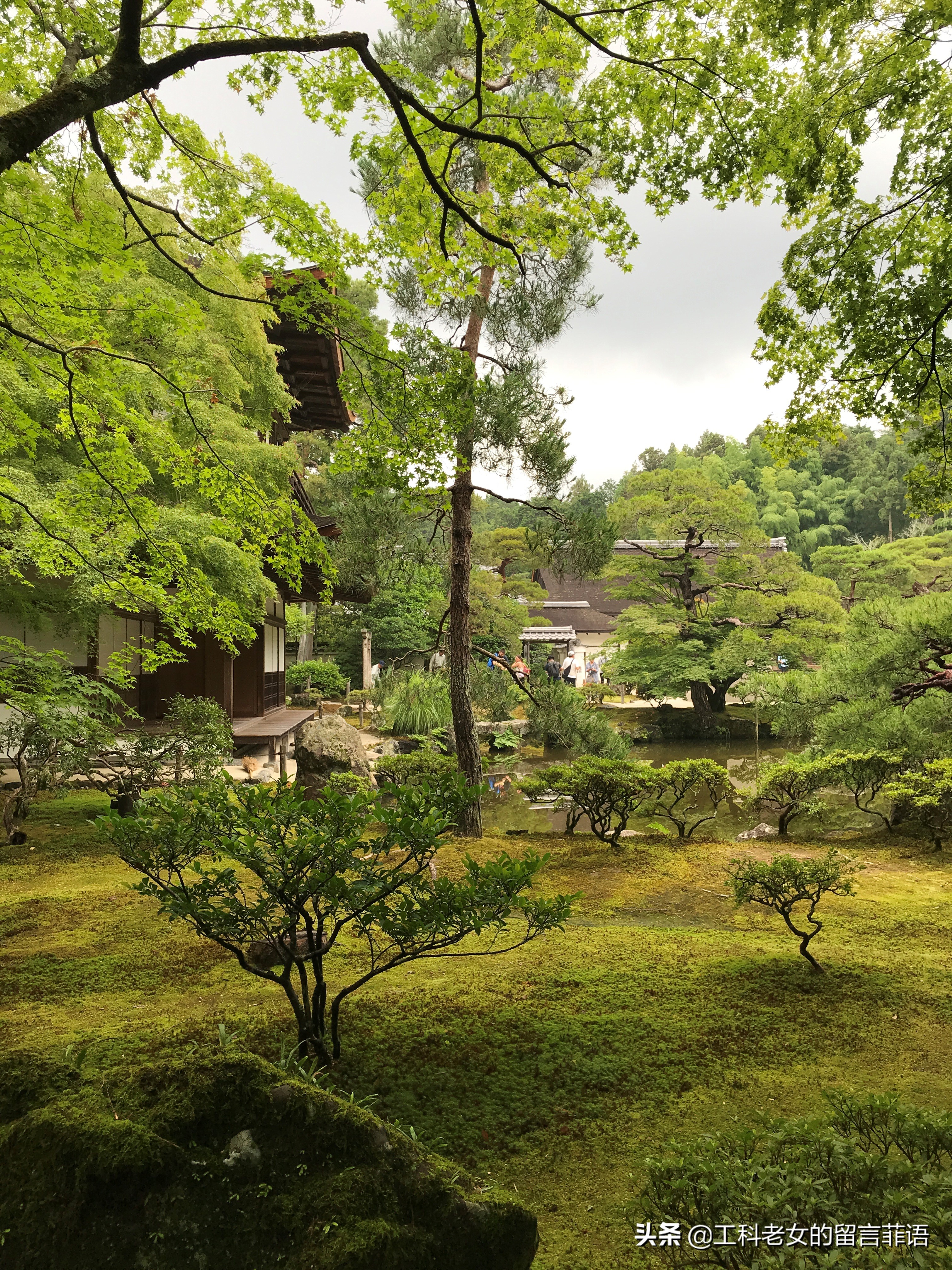 夏天去京都注意哪些事项,盛夏去哪玩