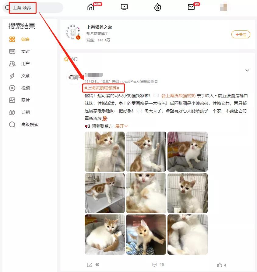 想领养狗狗却找不到地方,想领养一只猫咪又怕不会养