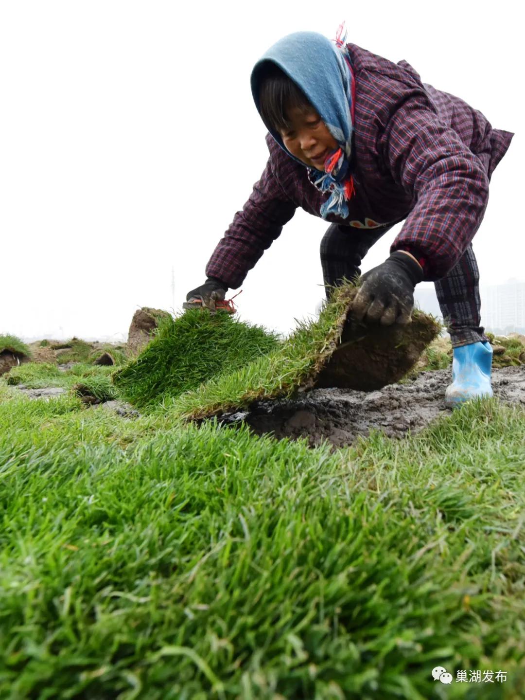 新型足球场草坪,人工草坪足球场建设全过程