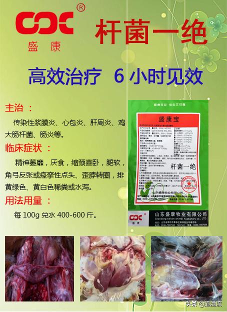 鸭子得软脚病怎么治疗,鸭子脚瘸得什么病