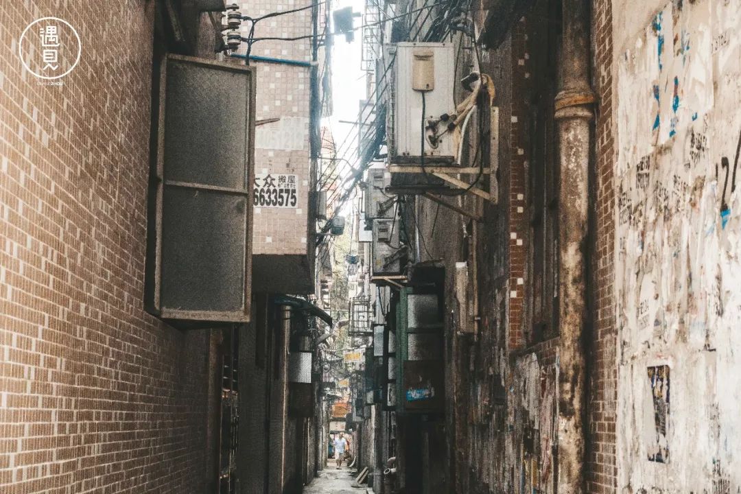 再见了沥川原唱视频,再见王沥川完整视频