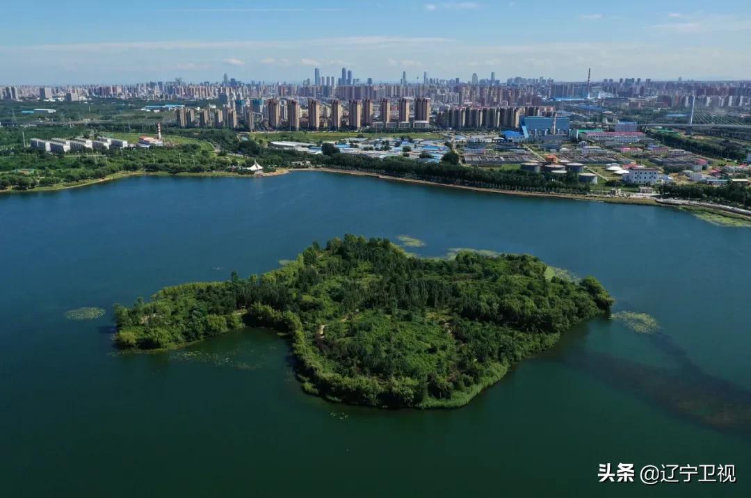 今天沈阳的情况如何,沈阳今天的街景