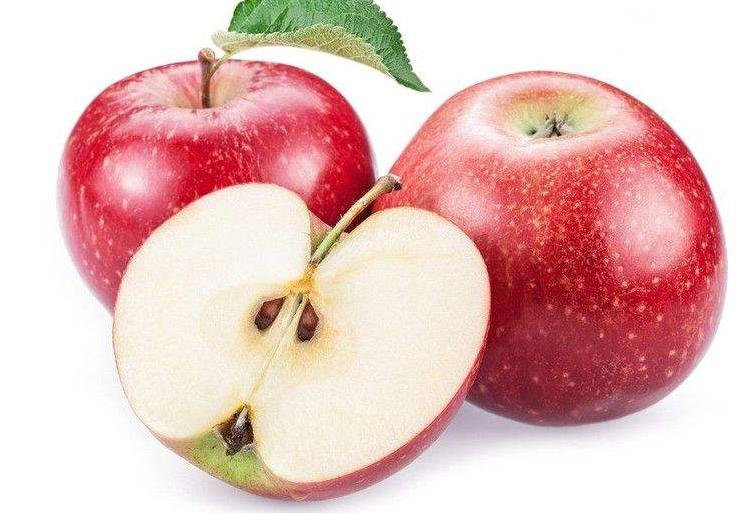 养狗必备大全,养狗宝典10天养成狗狗好习惯