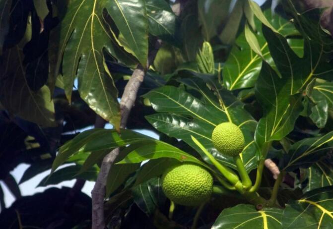 看世界图片素材库,看世界图片背景