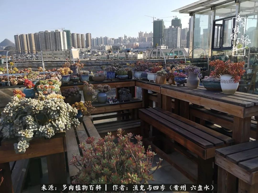 养多肉这几点新手必要知道,在养多肉的路上越走越远