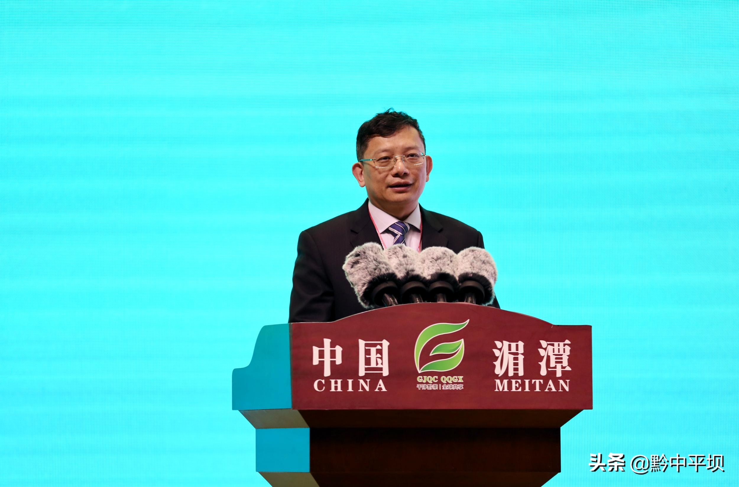 贵州省茶产业发展大会嘉宾观摩,第十二届贵州茶产业博览会开幕式