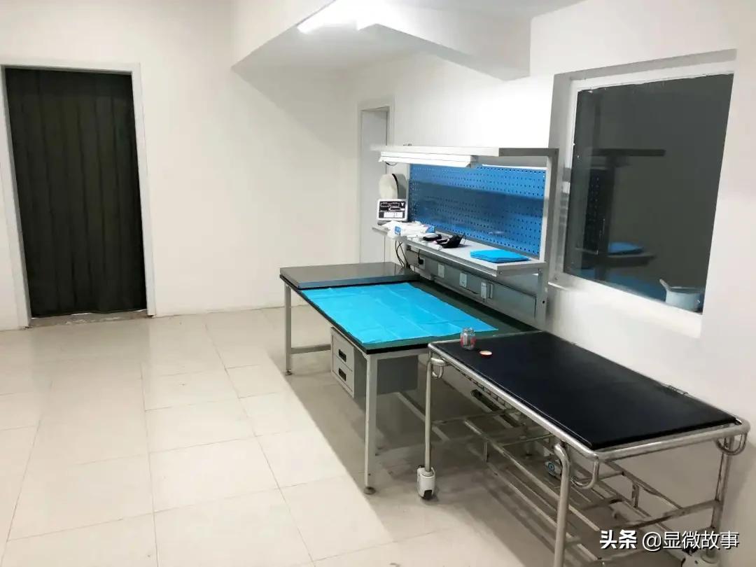 揭秘宠物殡葬:我设计了6487个骨灰盒,只为了帮它体面离开