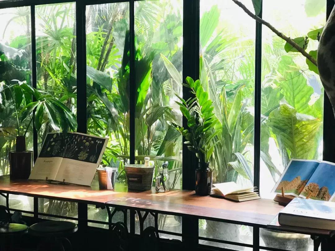 别再去曼谷的大众景点打卡了，换一种方式感受生活