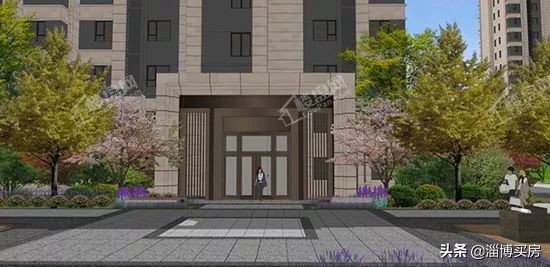 淄博张店区中小学划片,2022张店中小学划片查询