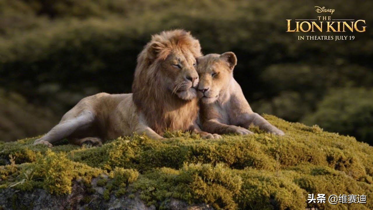 它们凭什么票房这么高？看看影史票房最高的10部电影你就知道了