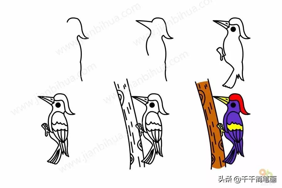 3-6岁儿童动物画入门教程,幼儿园动物画大全最简单