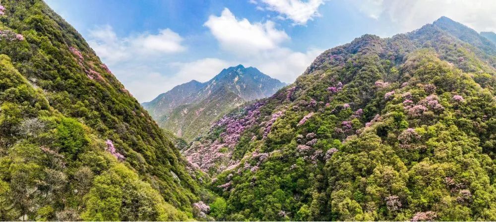 西安旅游全攻略现在的西安人多不,西安人的西安旅游攻略图片