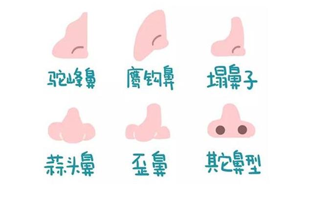 100个最关心的问题,隆鼻的十大问答