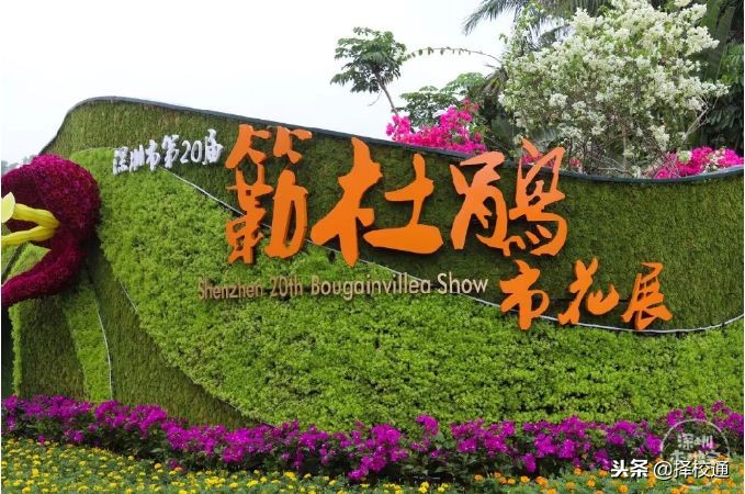 深圳将出土地新政,深圳龙岗公租房2023计划表一览表