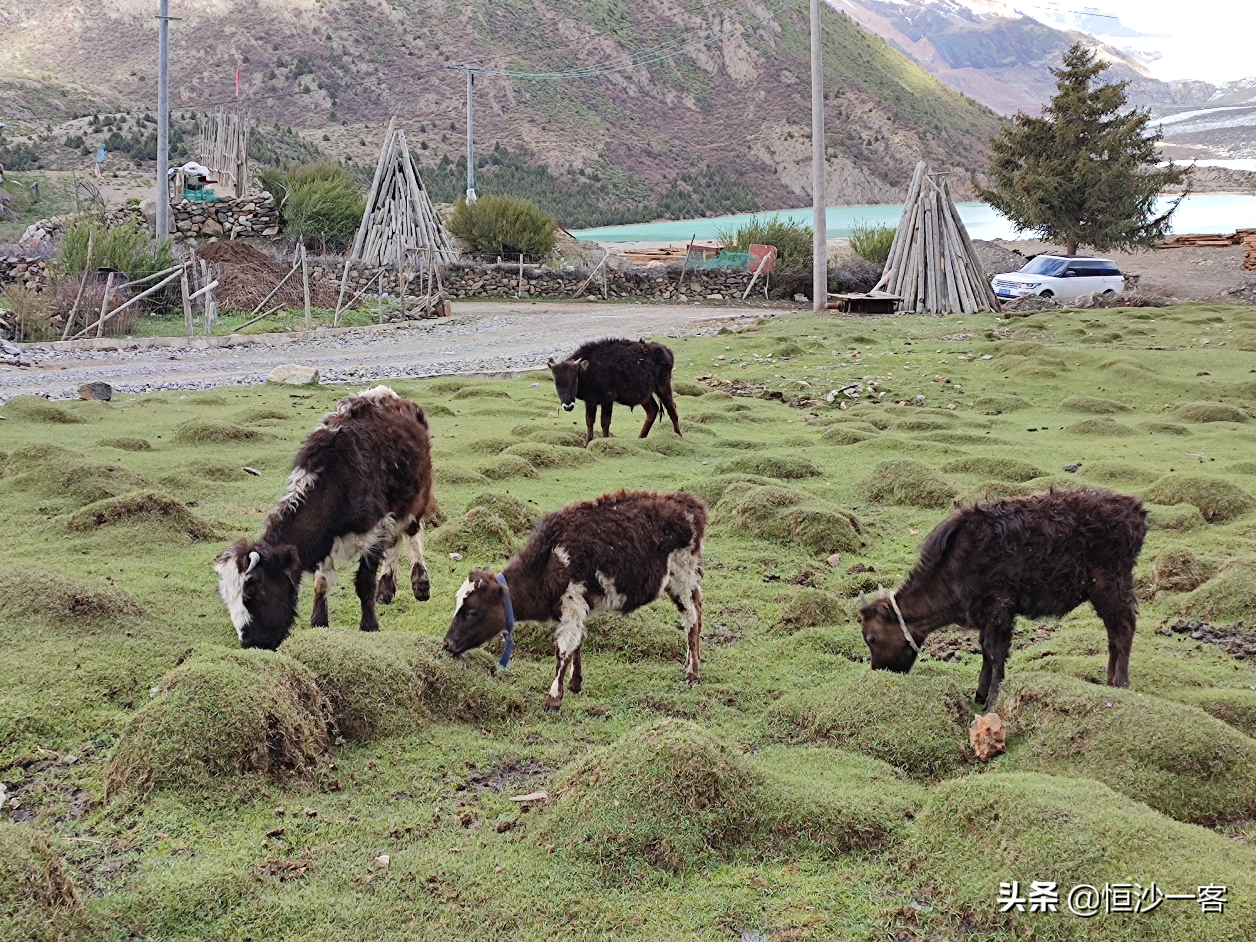 来古村徒步到冰川,来古村来古冰川旅行攻略