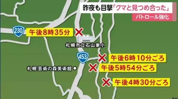 北海道市区接连两米巨熊，真实的熊出没好可怕！
