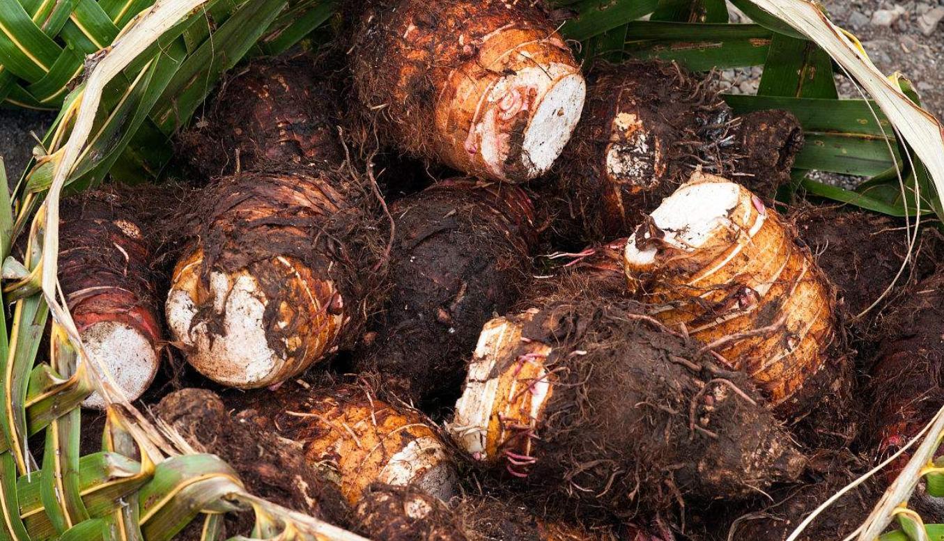 爱吃芋头的芋子,芋头的五种美味做法