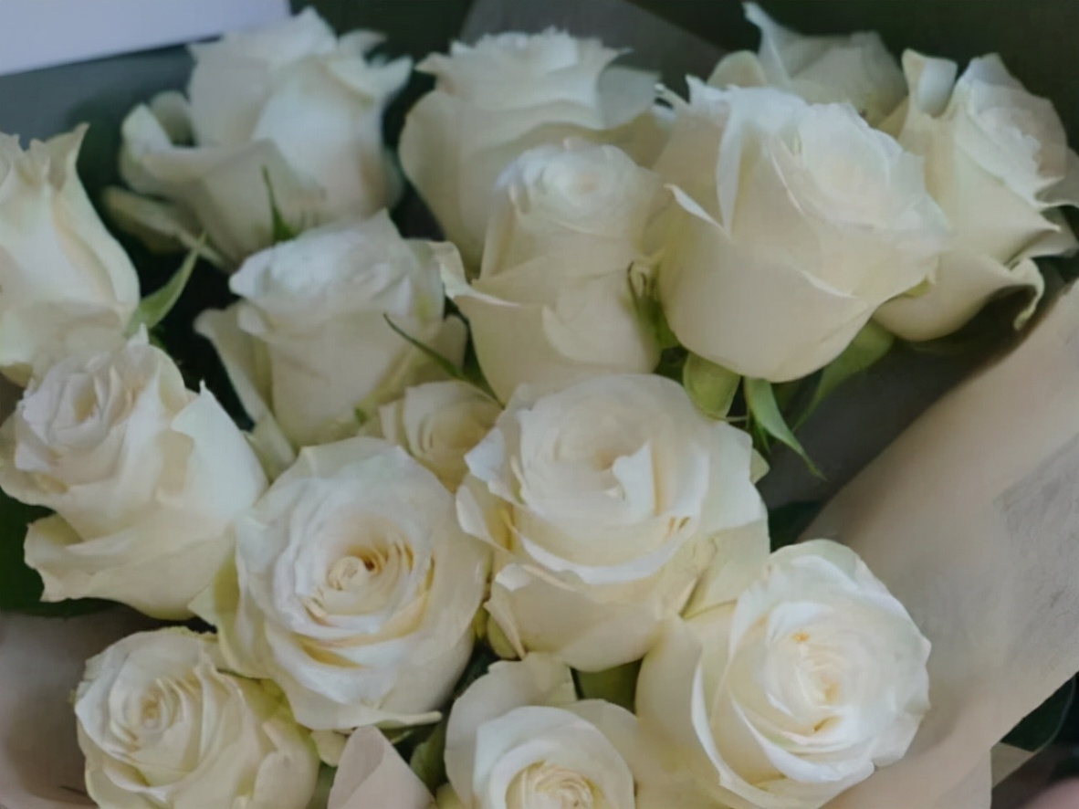 非常强势一般人驾驭不了的星座,脾气倔强很难劝得住的两大星座