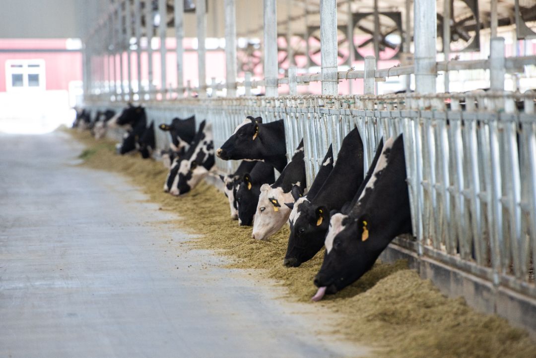 十月猛料，牛气盘点！请查收