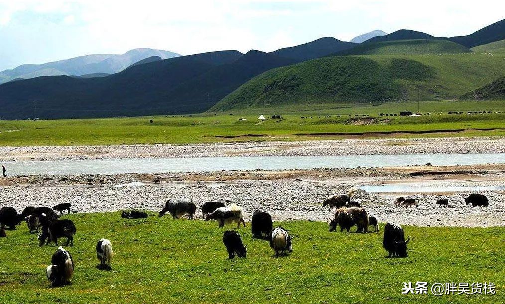 营养成分比较高的牛奶,比较接近母乳的牛奶