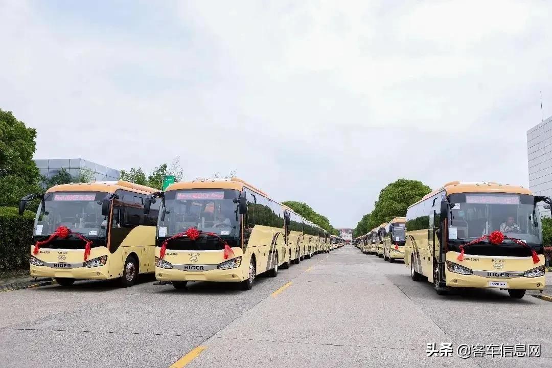海格客车苏州金龙卡塔尔世界杯,海格大客车100座