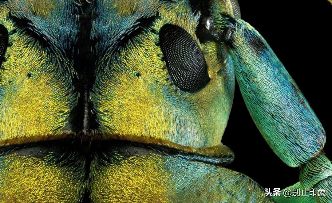 2400像素的画质,像素高就是画质清晰吗