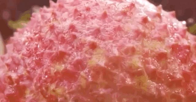 来到海南吃荔枝,到海南吃到的热带水果