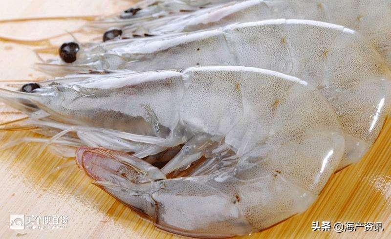 6月15号小龙虾行情分析,白虾期货价格哪里看