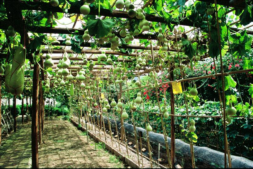 南山青青世界风景区,南山青青世界公园有什么