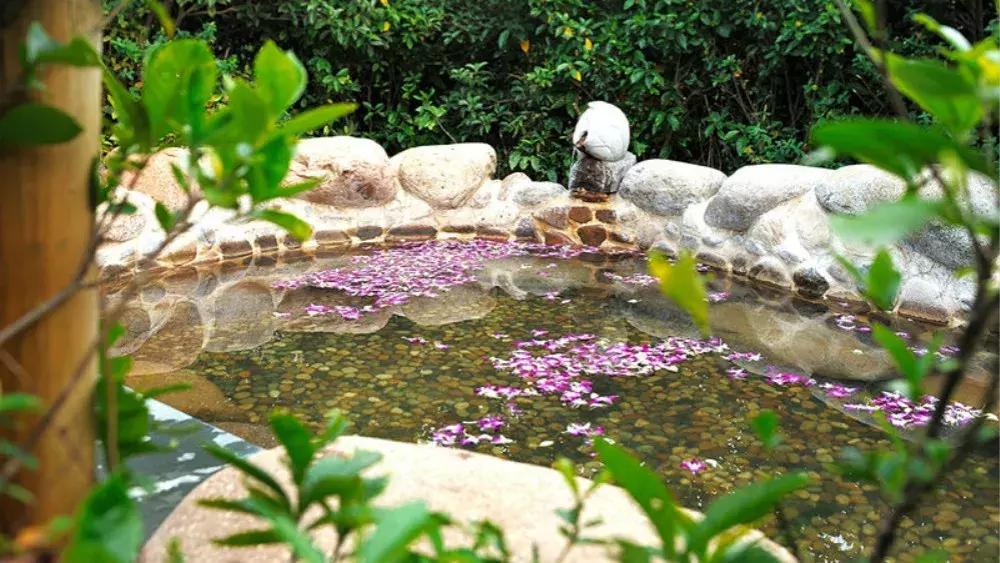 杭州泡汤温泉排行榜最新,冬季国内温泉推荐