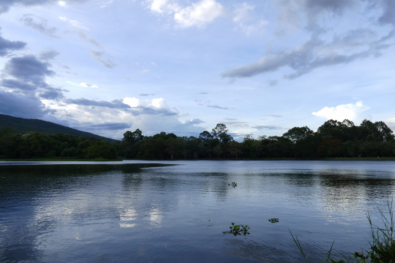 投资市场上的稀有物种：坚守期货24年的欣叔
