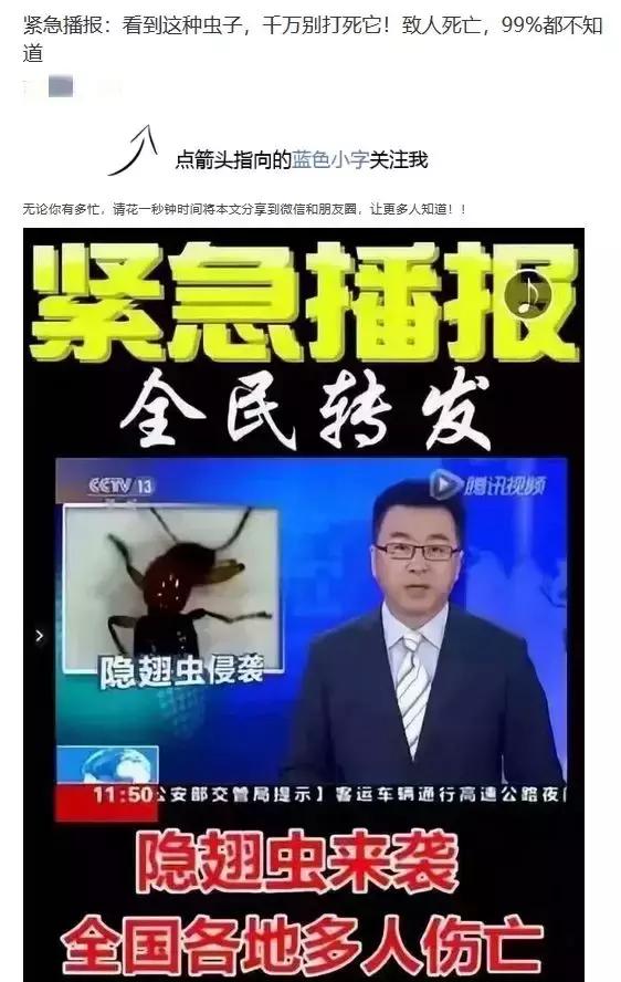 这几种虫子千万不能用手拍,上热搜遇到这种虫子千万别用手拍