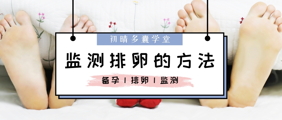 学会3个监测排卵的方法，提高受孕成功率！