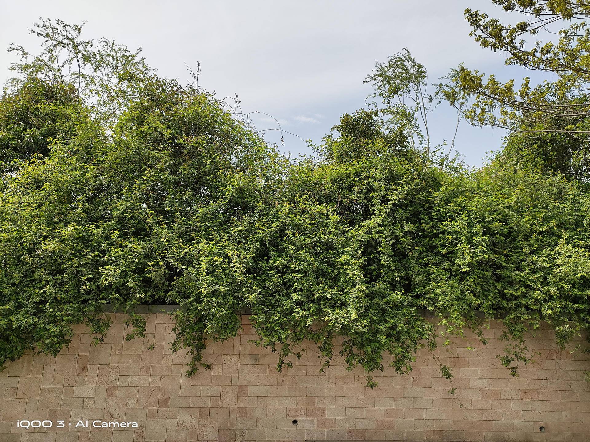 iqoo3使用感受,iqoo3使用体验