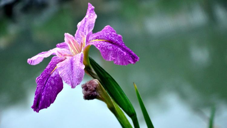 深秋的私语,美文美图经典欣赏