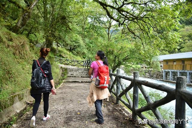 二郎山喇叭河看鹿,二郎山喇叭河看日出攻略