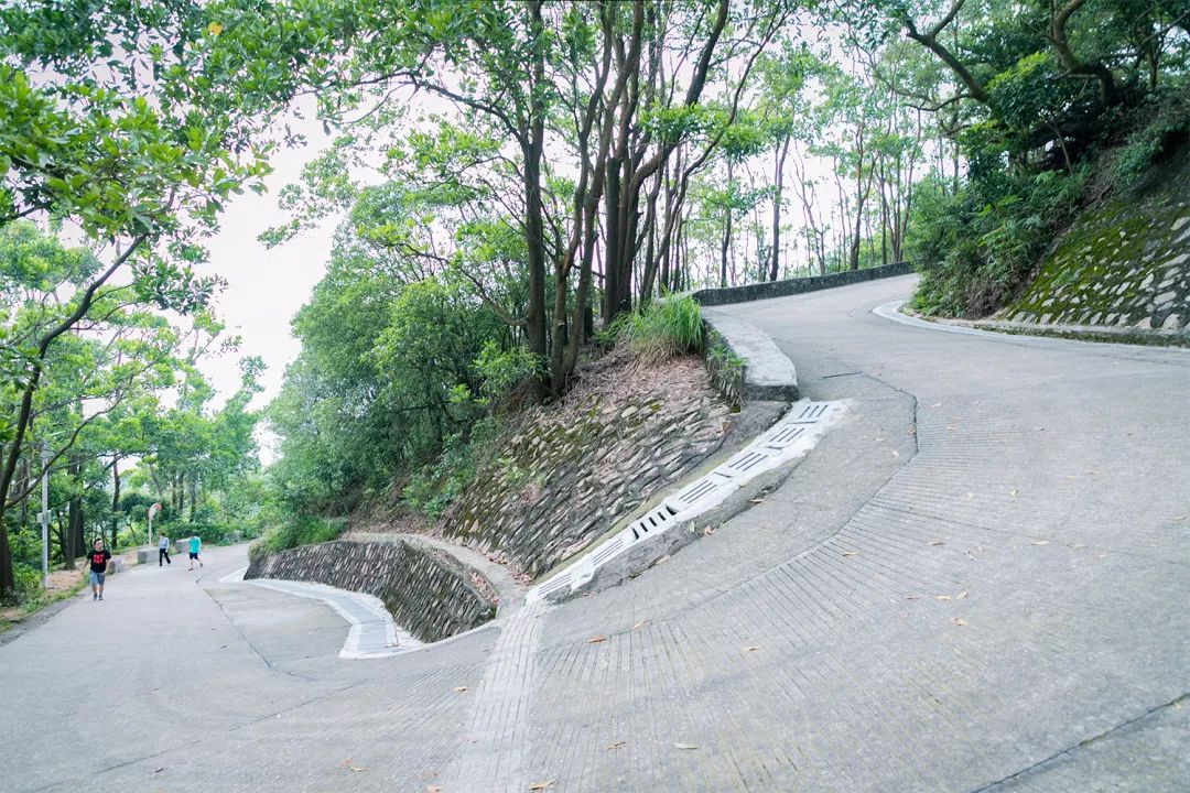 深圳值得去的地标,深圳值得去的景点排行榜