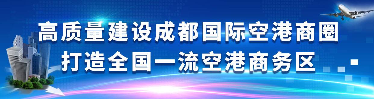 双流机场不带身份证可以坐飞机吗,双流机场忘了带身份证怎么坐飞机