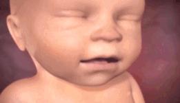 胎儿在妈妈肚子里干什么图片,胎儿在妈妈肚子里的位置变化