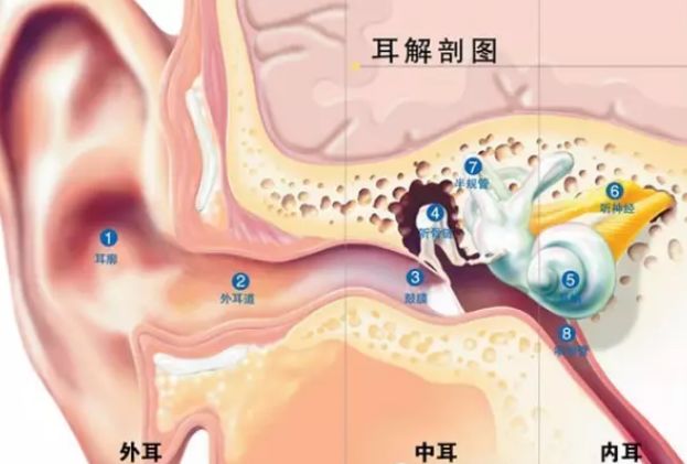 耳屎的颜色一般是什么,耳屎颜色有哪些
