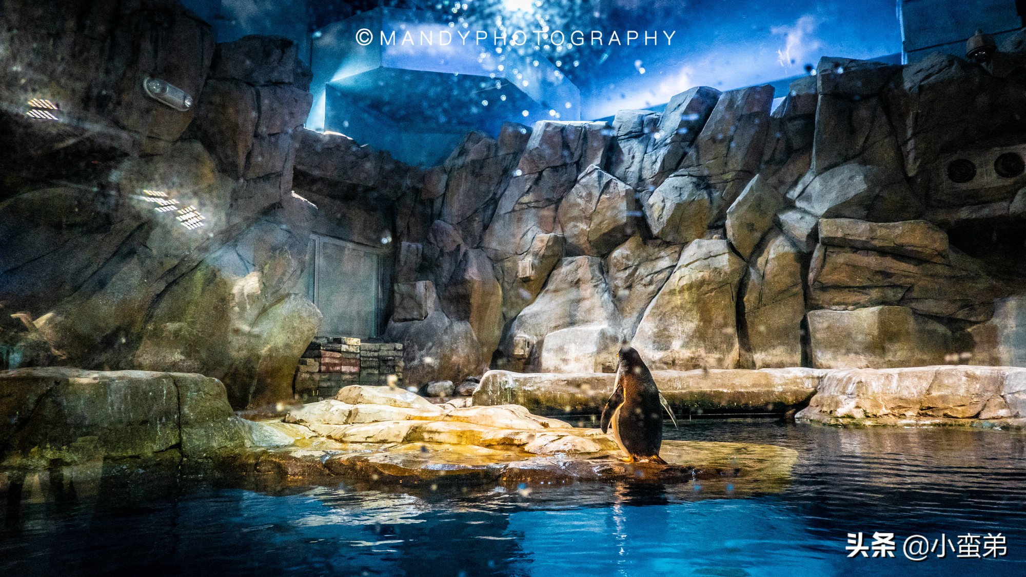 香港巡礼|是谁！敢拿水枪给20岁的海贼王庆生？